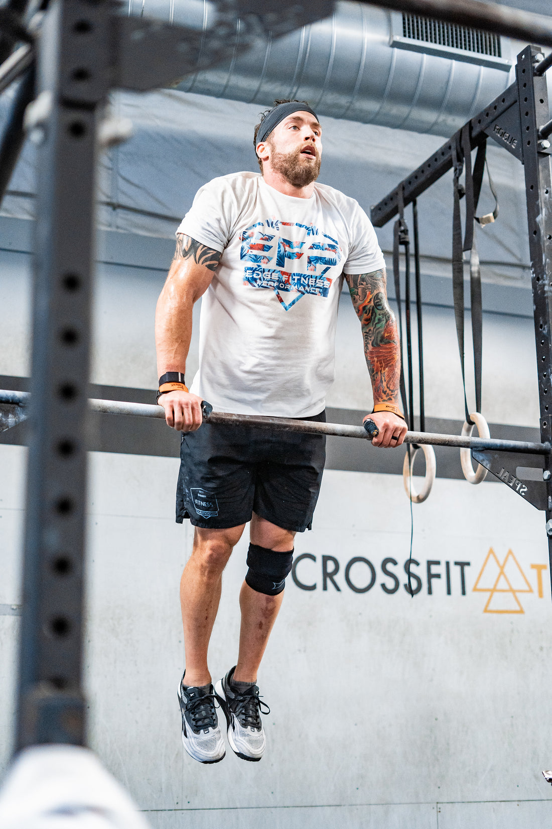 What's in your Grocery Cart?